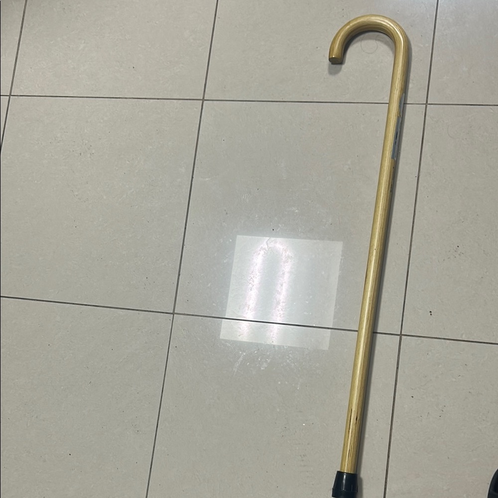 Elegant Gold Walking Cane